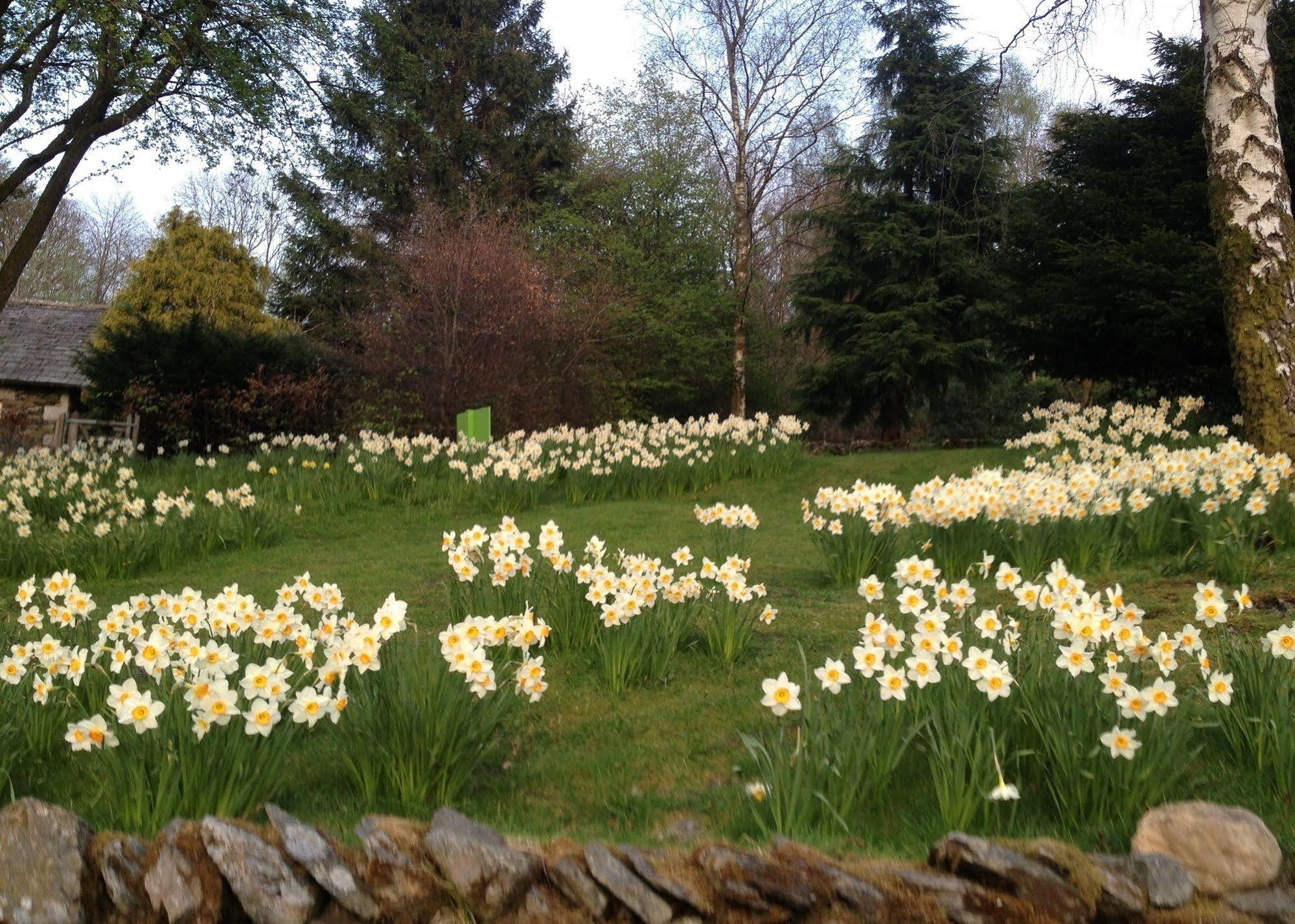 Couette-café May Cottage B&B Bowness-on-Windermere